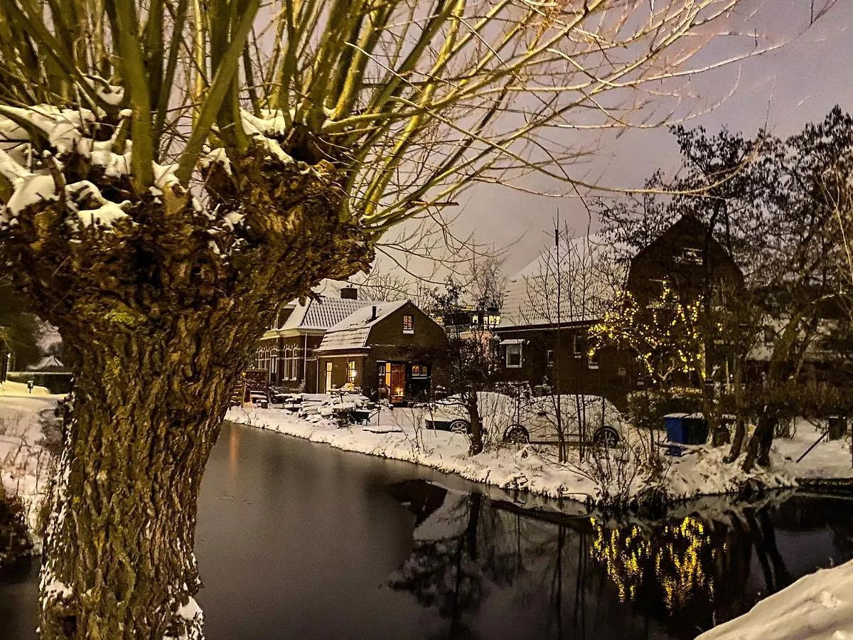Guesthouse Rotterdam, Tinyhouse Nearby Kralingen 0*, Rotterdam Niederlande